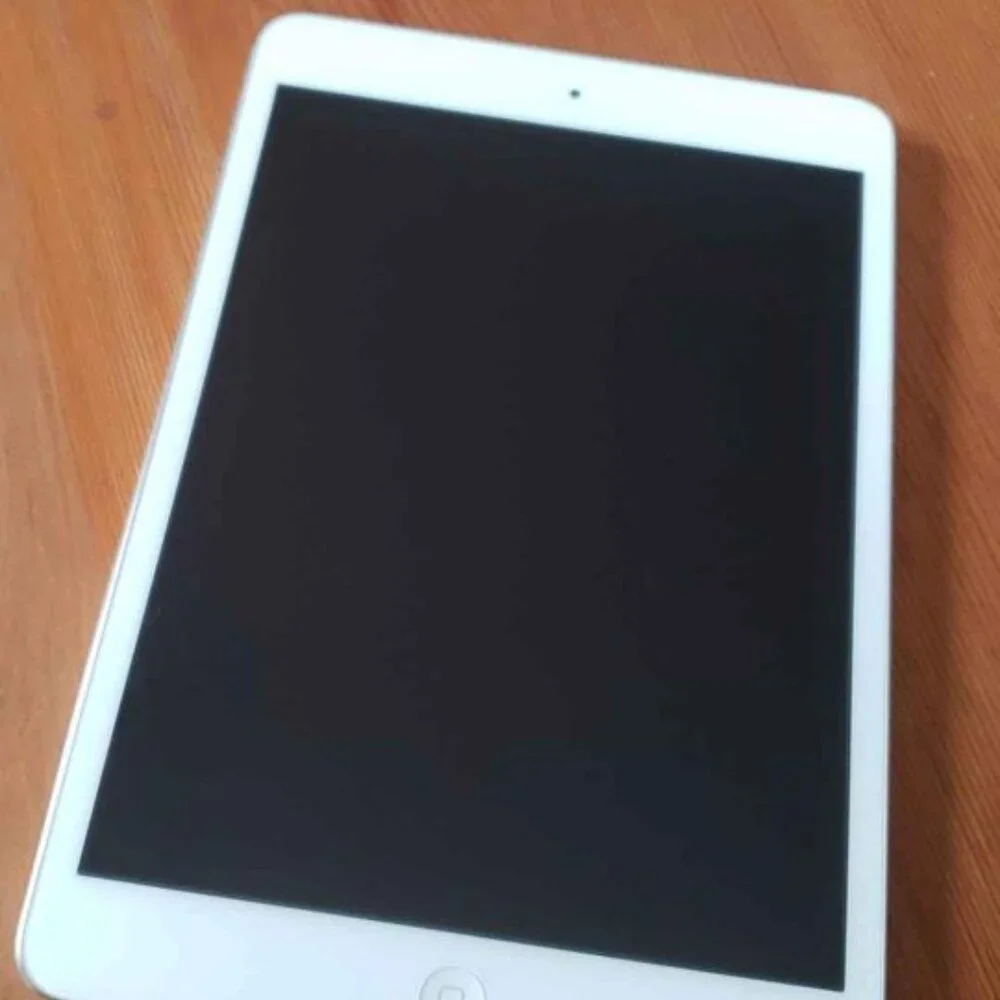 iPad mini 2